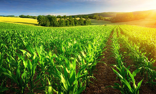 农资营销的5大策略方案！